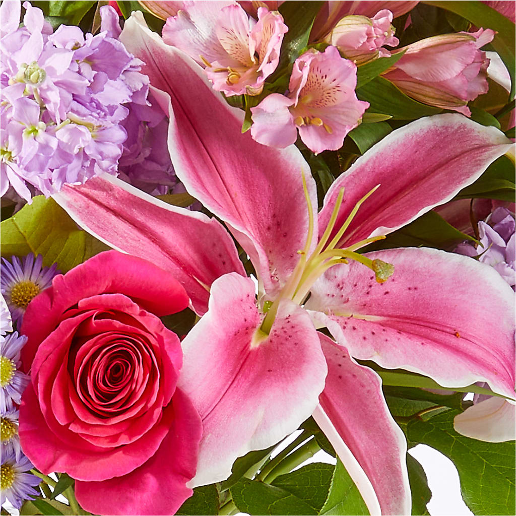 Written in the Stars Bouquet –  Day Dream Bokay Llc, Jonesborough TN