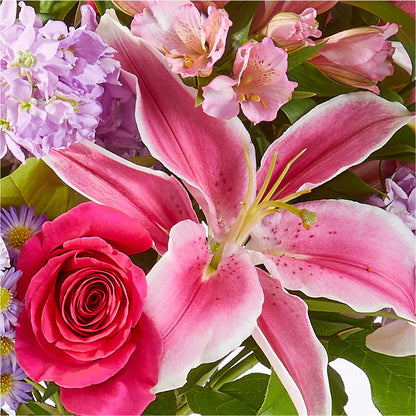 Written in the Stars Bouquet –  Day Dream Bokay Llc, Jonesborough TN