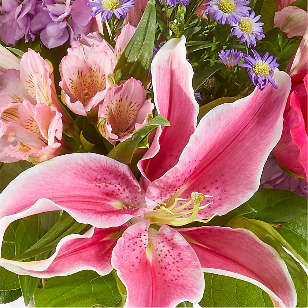 Written in the Stars Bouquet –  Day Dream Bokay Llc, Jonesborough TN