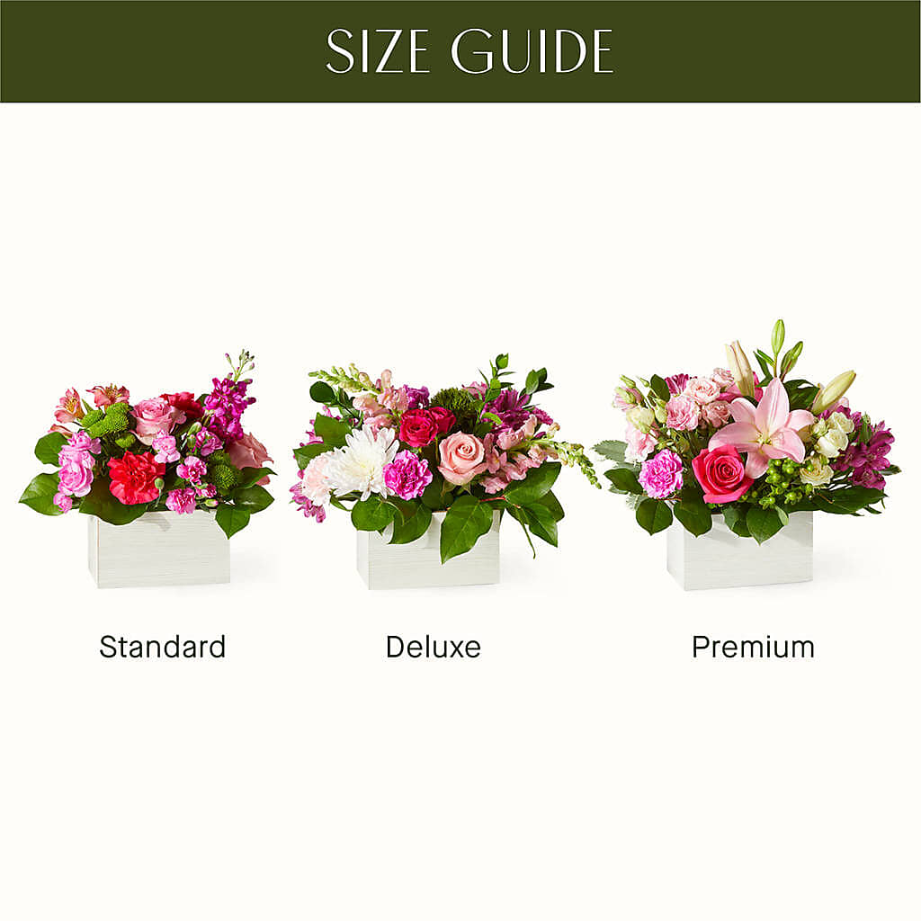 Sweetberry Box – A Florist Original –  Day Dream Bokay Llc, Jonesborough TN