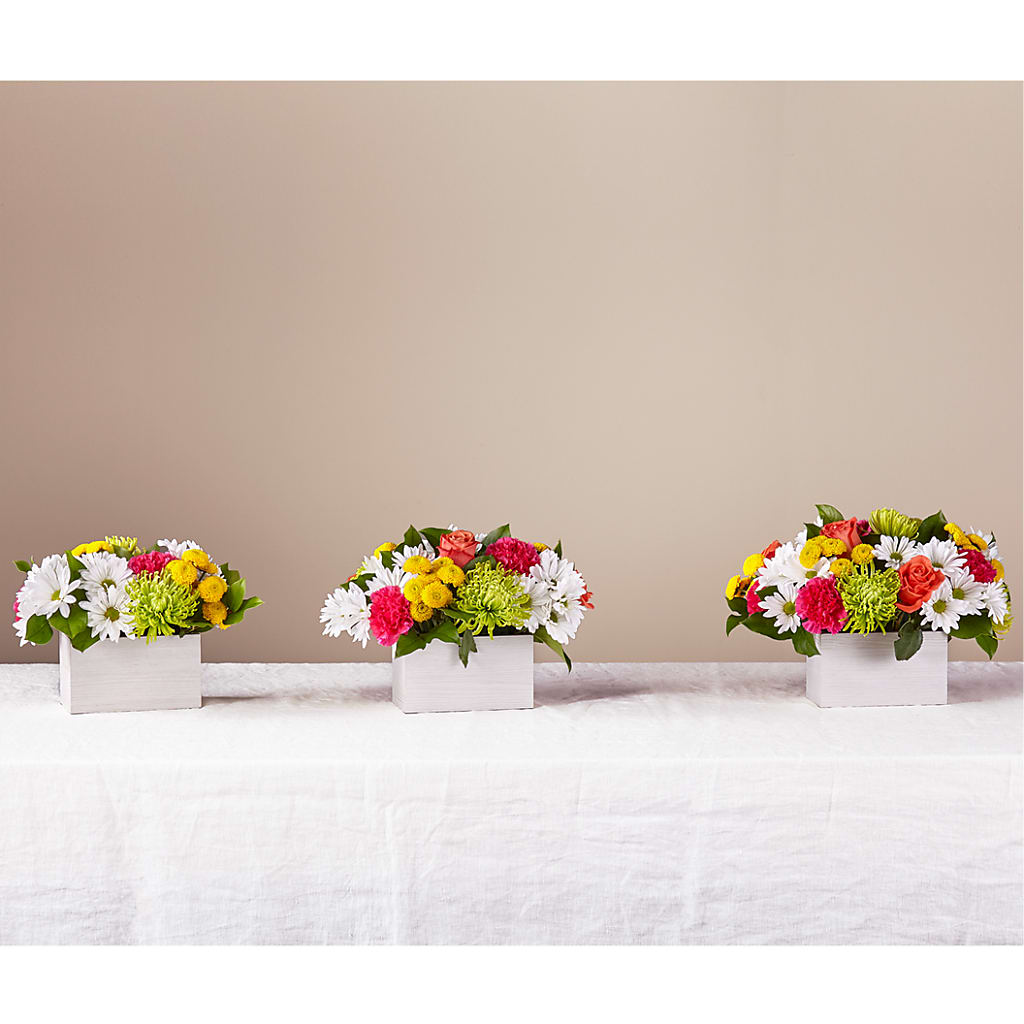 Sorbet Bouquet –  Day Dream Bokay Llc, Jonesborough TN