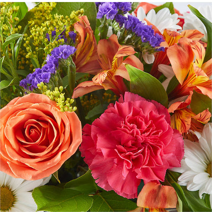 Oopsie Daisy Box Bouquet –  Day Dream Bokay Llc, Jonesborough TN