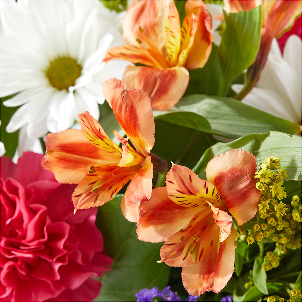 Oopsie Daisy Box Bouquet –  Day Dream Bokay Llc, Jonesborough TN