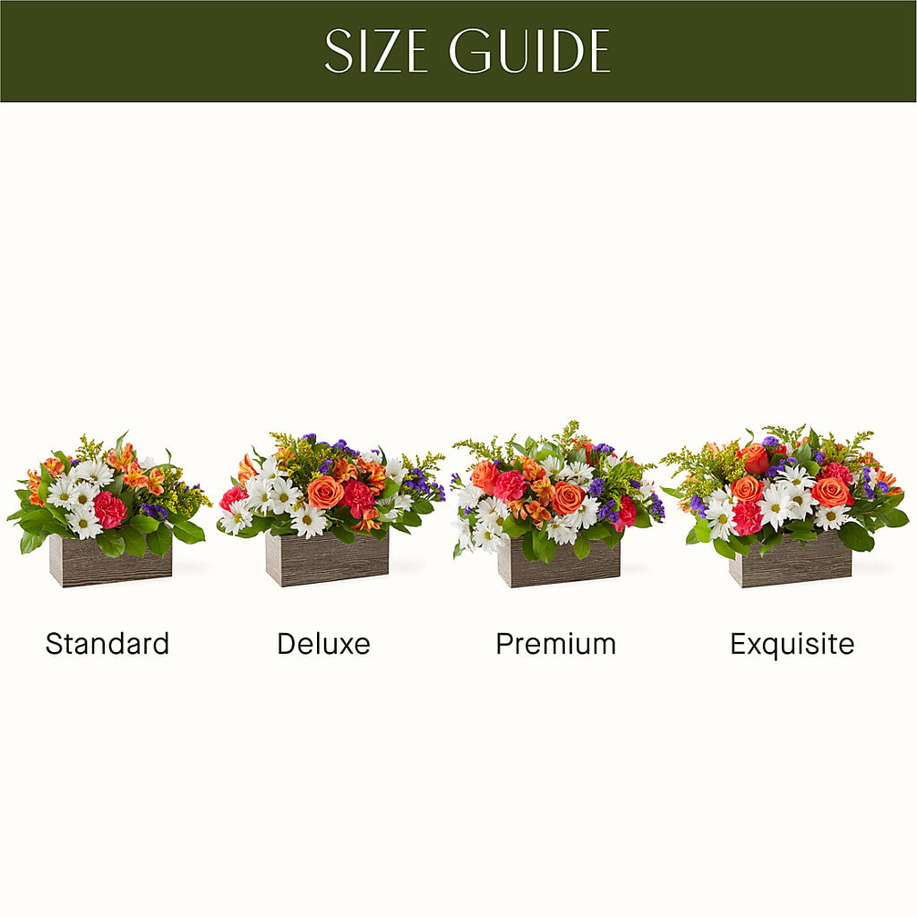 Oopsie Daisy Box Bouquet –  Day Dream Bokay Llc, Jonesborough TN