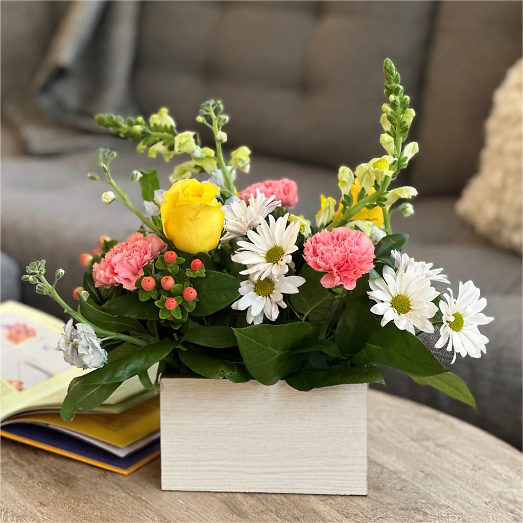 Sun Salutation Box Bouquet –  Day Dream Bokay Llc, Jonesborough TN