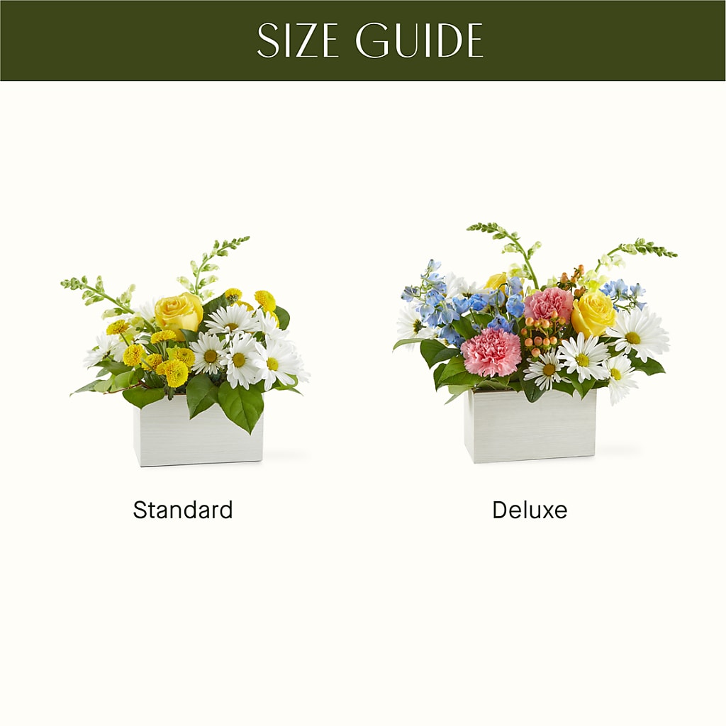 Sun Salutation Box Bouquet –  Day Dream Bokay Llc, Jonesborough TN