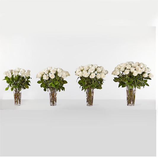Long Stem White Rose Bouquet –  Day Dream Bokay Llc, Jonesborough TN