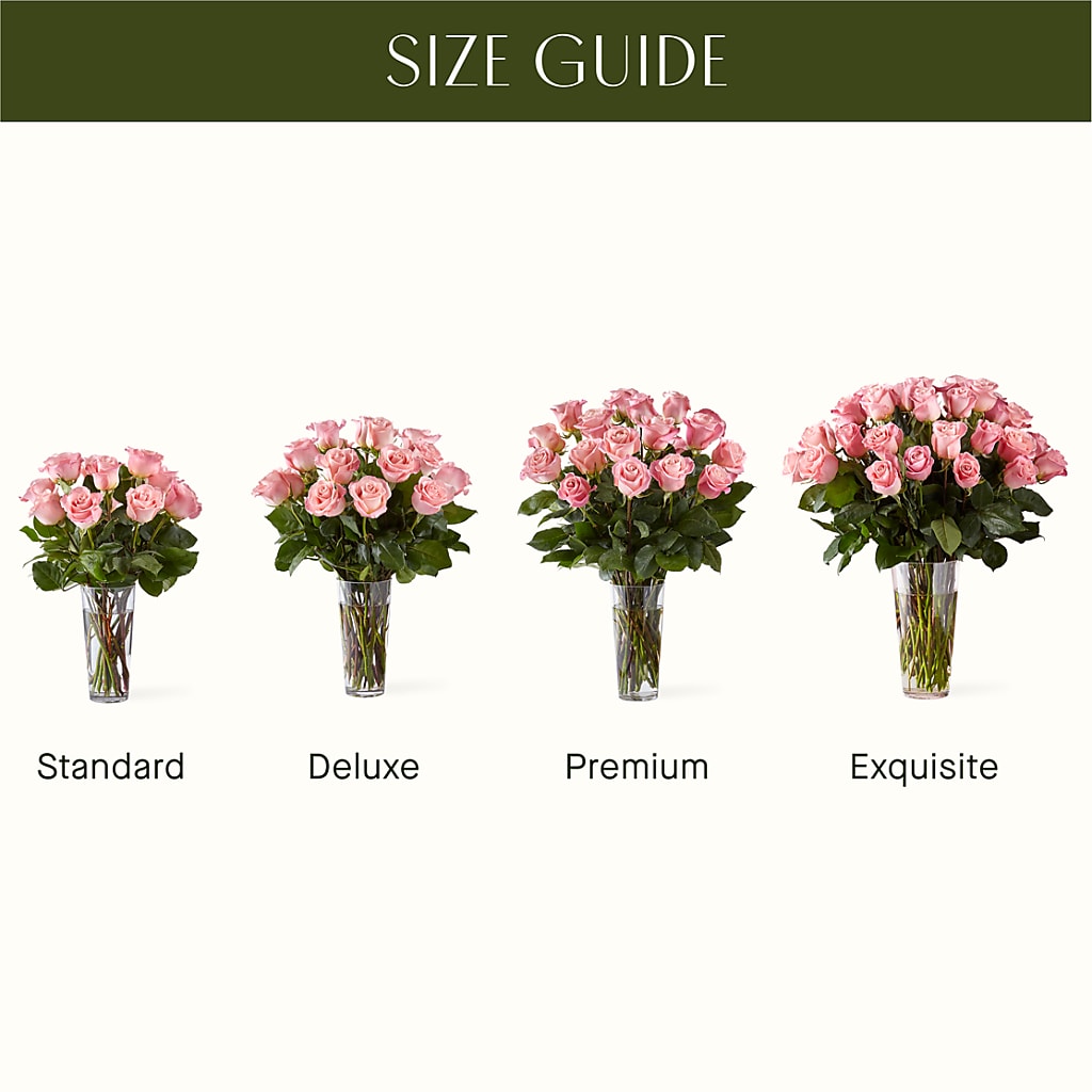 Long Stem Pink Rose Bouquet –  Day Dream Bokay Llc, Jonesborough TN