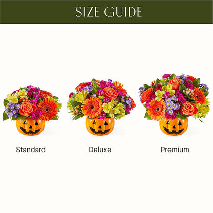 Tricks & Treats Pumpkin –  Day Dream Bokay Llc, Jonesborough TN
