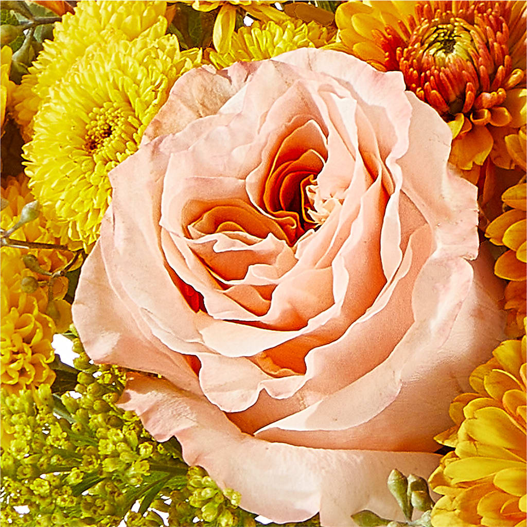 Peachy Pumpkin –  Day Dream Bokay Llc, Jonesborough TN