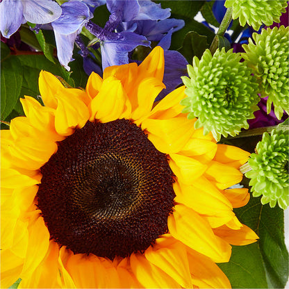 Catching Rays Bouquet –  Day Dream Bokay Llc, Jonesborough TN
