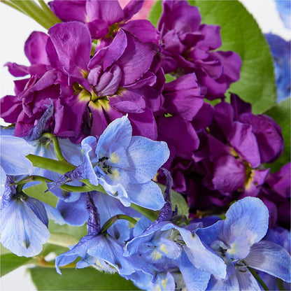 Twilight Glow Bouquet –  Day Dream Bokay Llc, Jonesborough TN