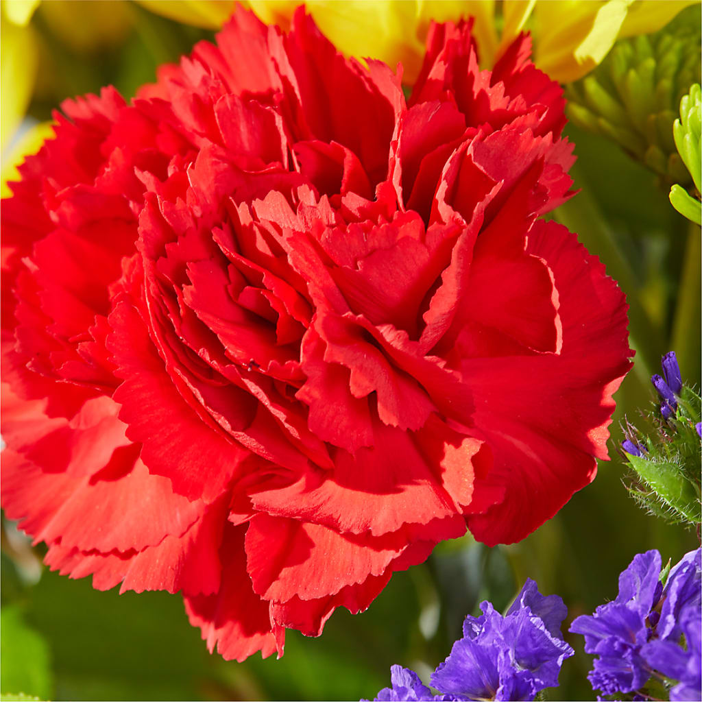 Brighter Days Bouquet –  Day Dream Bokay Llc, Jonesborough TN