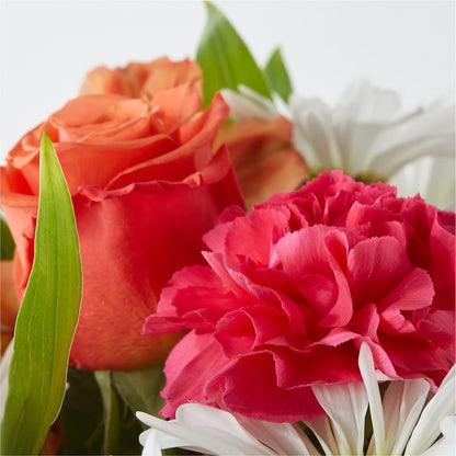 Oopsie Daisy Bouquet –  Day Dream Bokay Llc, Jonesborough TN