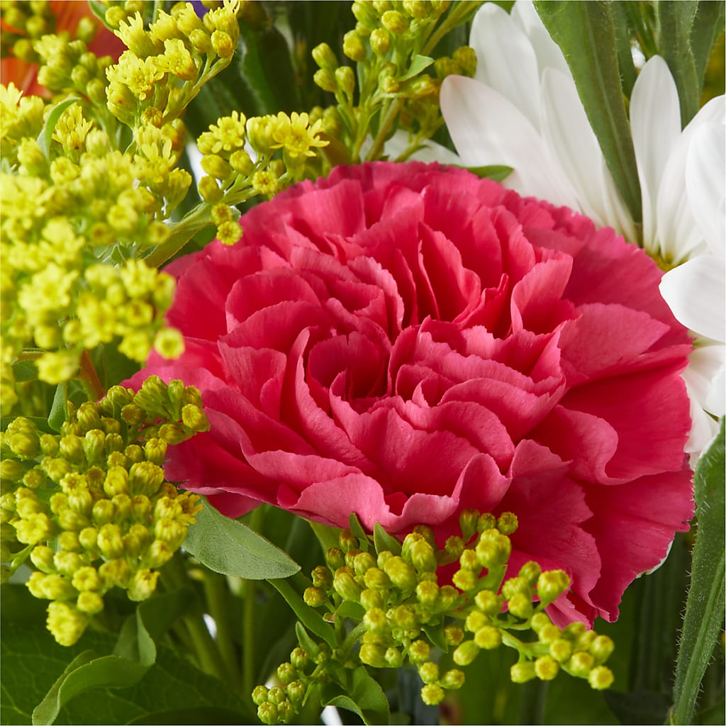 Oopsie Daisy Bouquet –  Day Dream Bokay Llc, Jonesborough TN