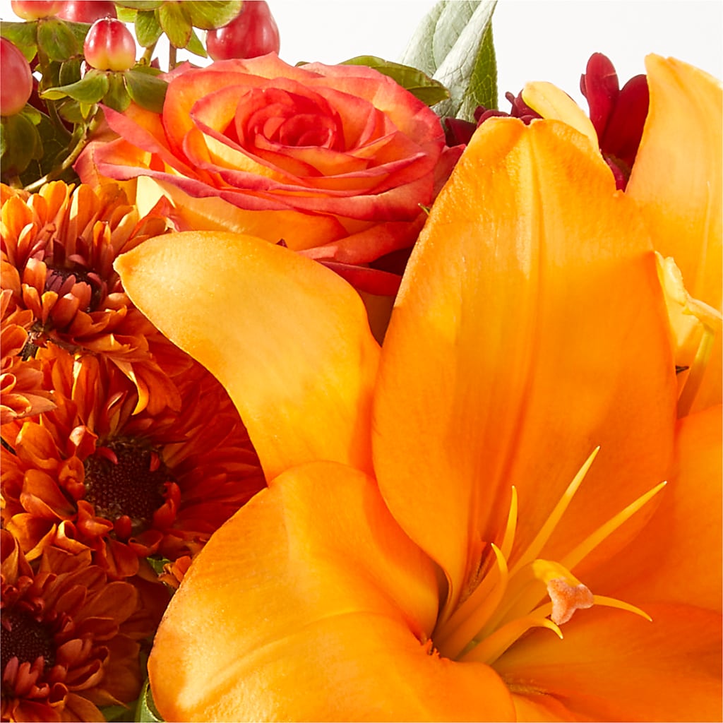 Backyard Bonfire Bouquet –  Day Dream Bokay Llc, Jonesborough TN