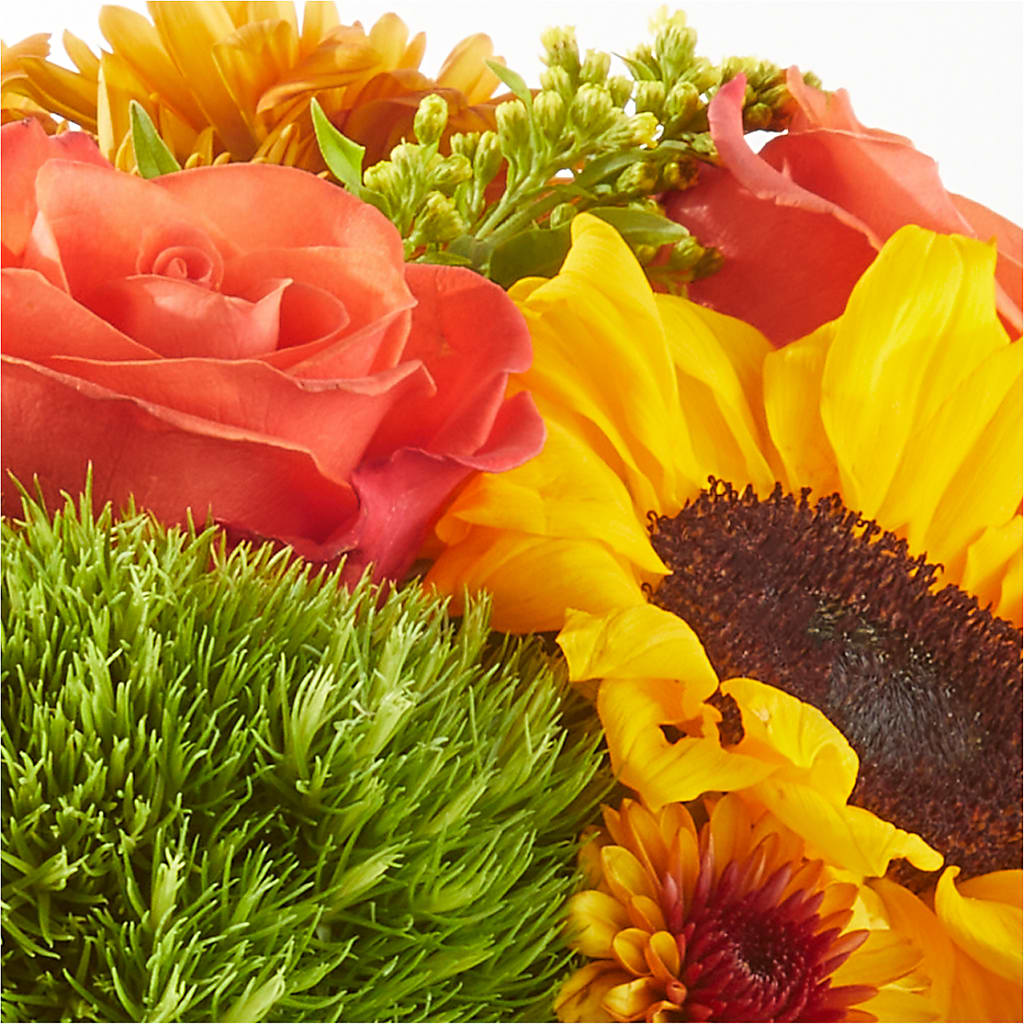 Farmer’s Market Stroll Bouquet –  Day Dream Bokay Llc, Jonesborough TN