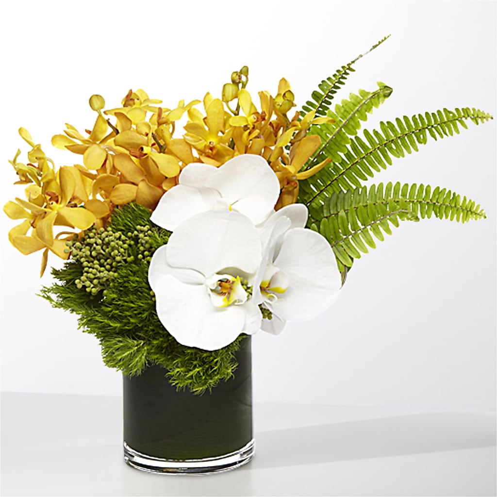 The Tropics –  Day Dream Bokay Llc, Jonesborough TN