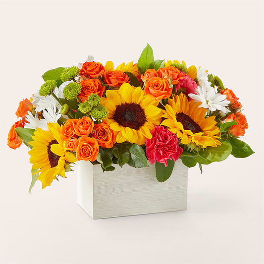 Sun-drenched Blooms Box Bouquet –  Day Dream Bokay Llc, Jonesborough TN