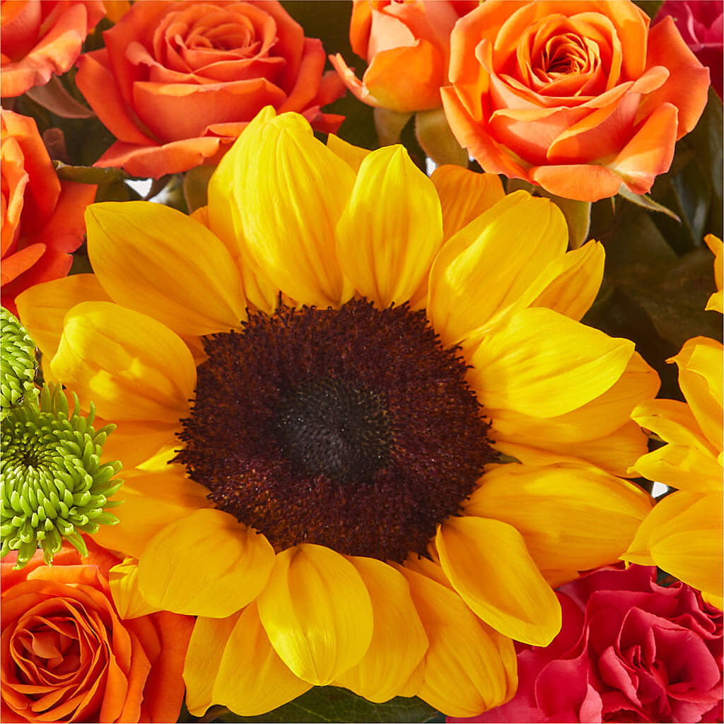Sun-drenched Blooms Box Bouquet –  Day Dream Bokay Llc, Jonesborough TN
