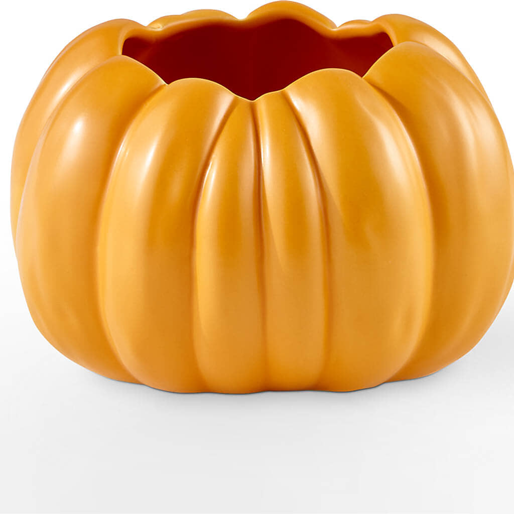 Golden Gourd Pumpkin Bouquet –  Day Dream Bokay Llc, Jonesborough TN