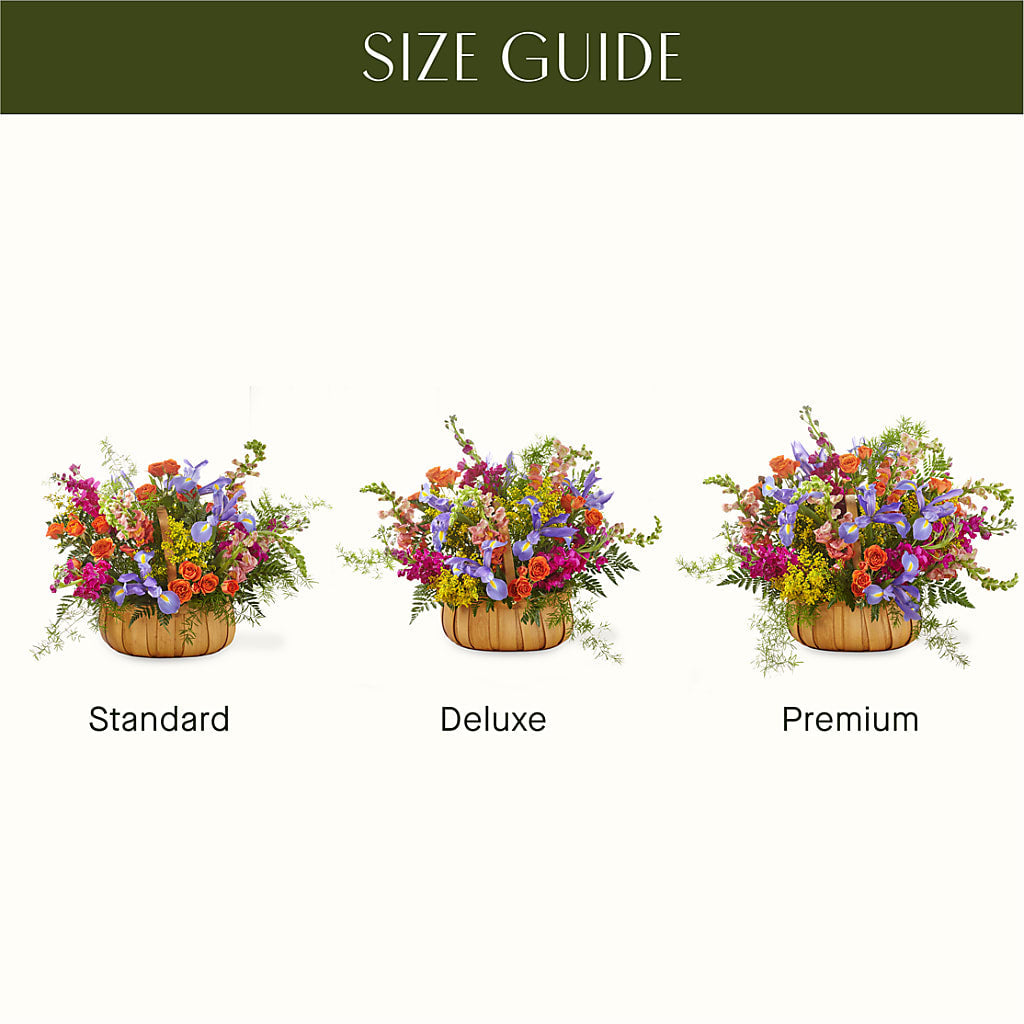 Garden of Life Basket –  Day Dream Bokay Llc, Jonesborough TN