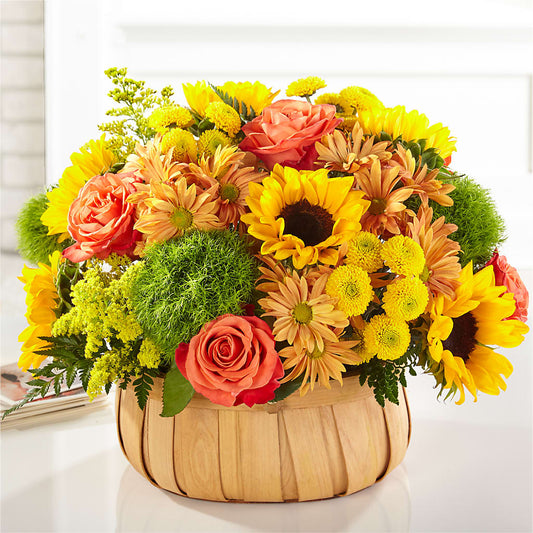 Harvest Sunflower Basket –  Day Dream Bokay Llc, Jonesborough TN
