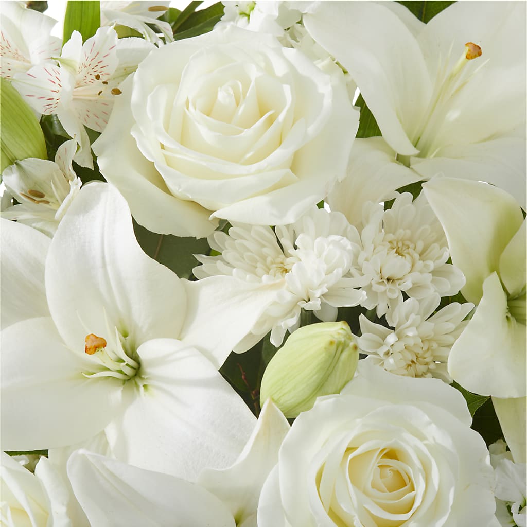Peaceful Reflections Arrangement –  Day Dream Bokay Llc, Jonesborough TN