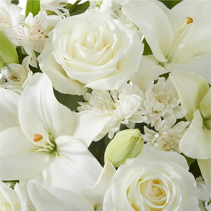 Peaceful Reflections Arrangement –  Day Dream Bokay Llc, Jonesborough TN