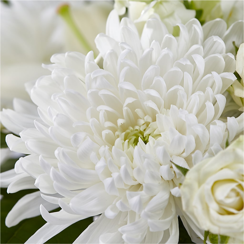 Classic Ivory – A Florist Original –  Day Dream Bokay Llc, Jonesborough TN