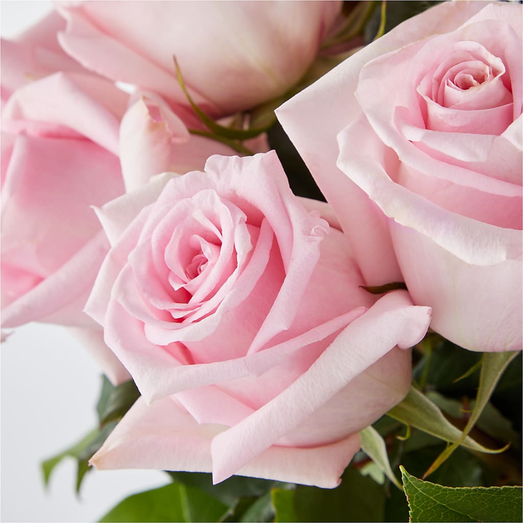 Picture Perfect Pink Rose Bouquet –  Day Dream Bokay Llc, Jonesborough TN