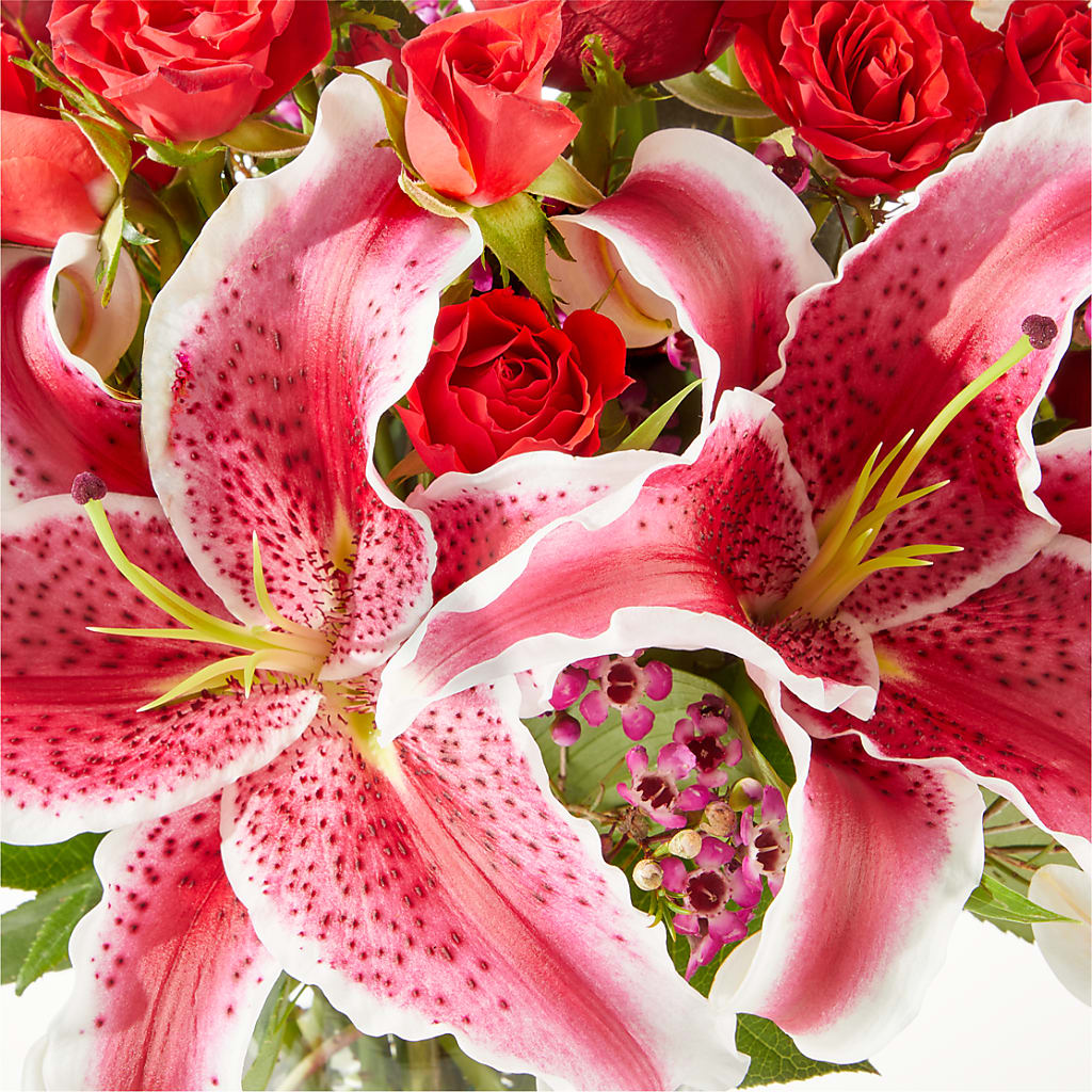 Match Made in Heaven Bouquet –  Day Dream Bokay Llc, Jonesborough TN