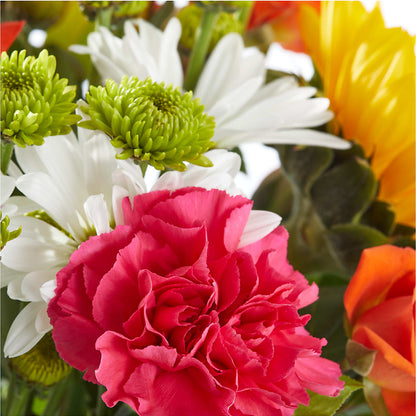 Sun-drenched Blooms Bouquet –  Day Dream Bokay Llc, Jonesborough TN