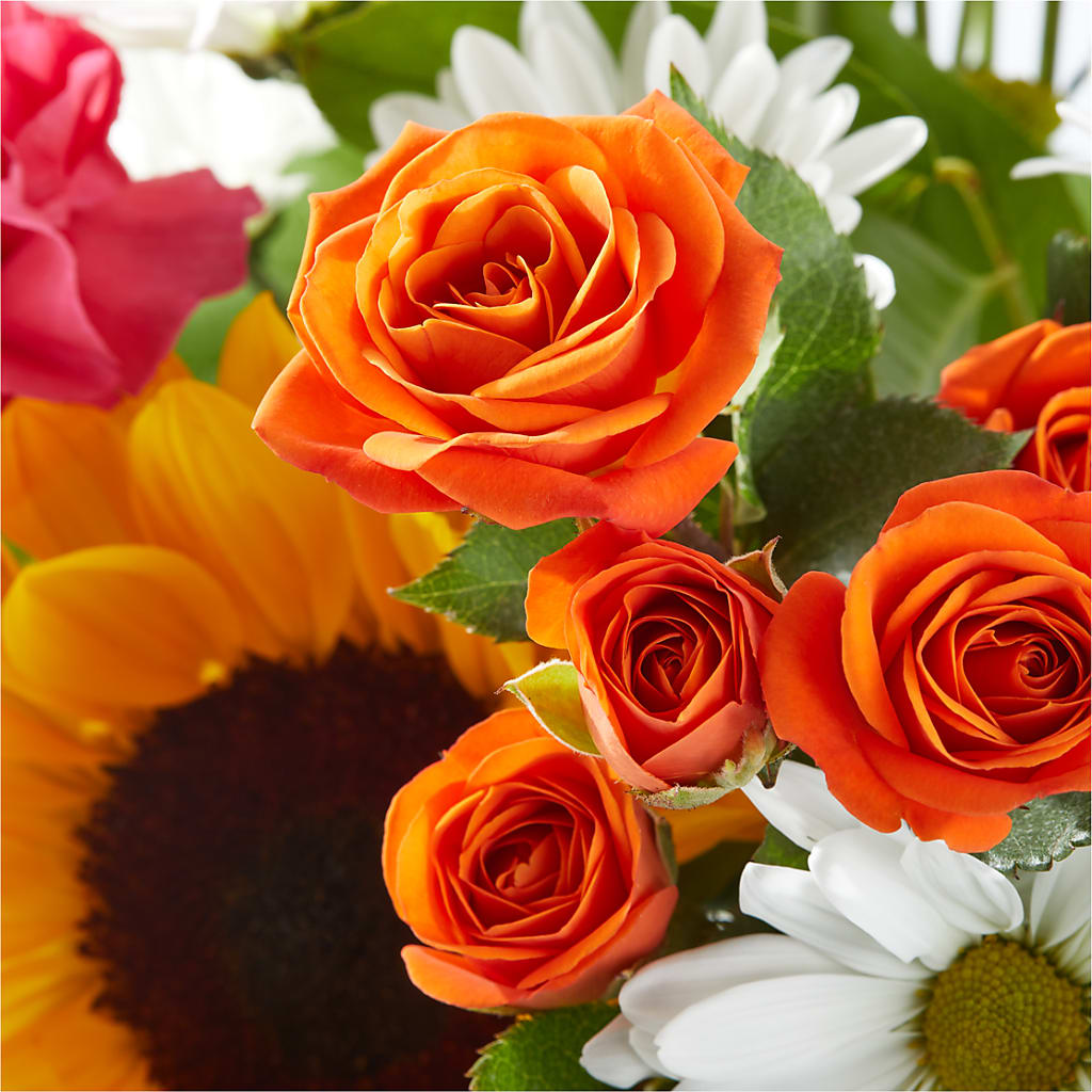 Sun-drenched Blooms Bouquet –  Day Dream Bokay Llc, Jonesborough TN