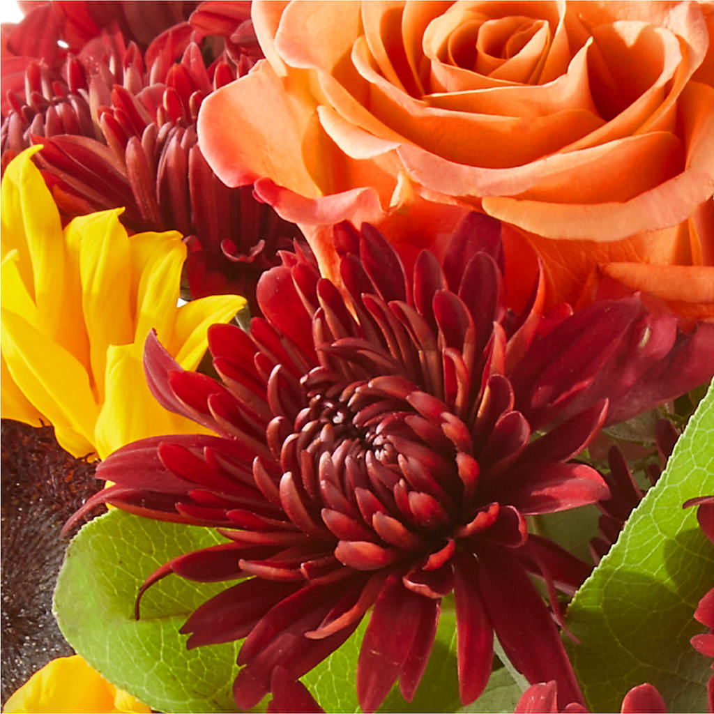September Sunset Bouquet –  Day Dream Bokay Llc, Jonesborough TN