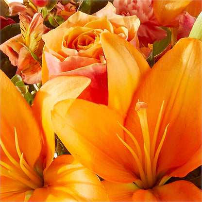 Afternoon Light Bouquet –  Day Dream Bokay Llc, Jonesborough TN