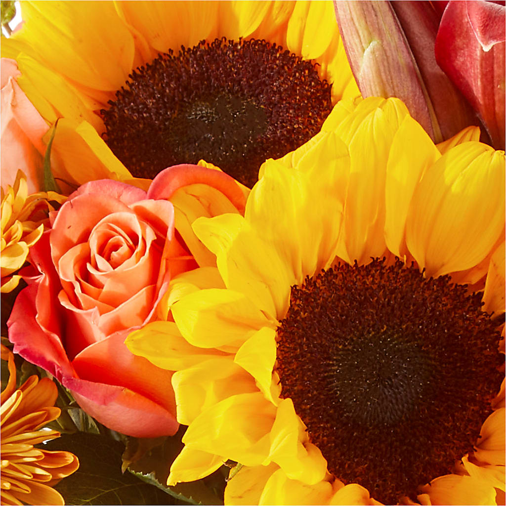 Acorn Lane Bouquet –  Day Dream Bokay Llc, Jonesborough TN