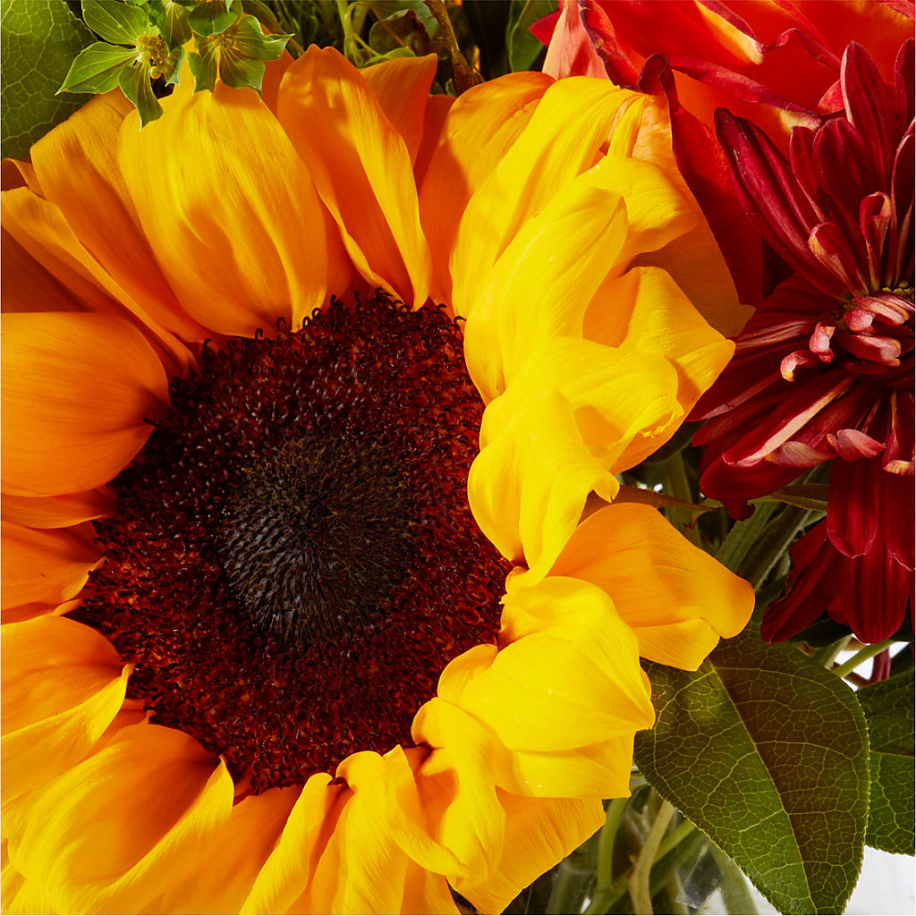 Harvest Festival Bouquet –  Day Dream Bokay Llc, Jonesborough TN