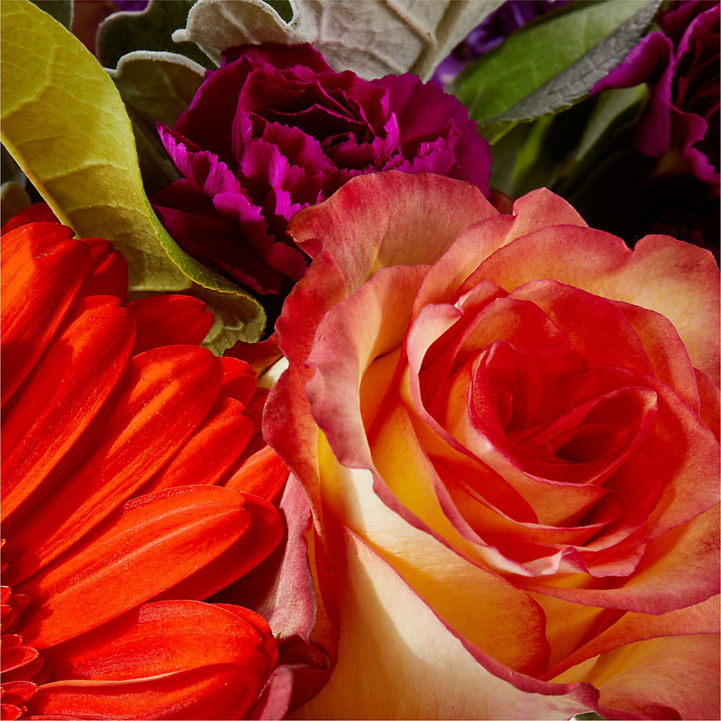 Sangria Bouquet –  Day Dream Bokay Llc, Jonesborough TN