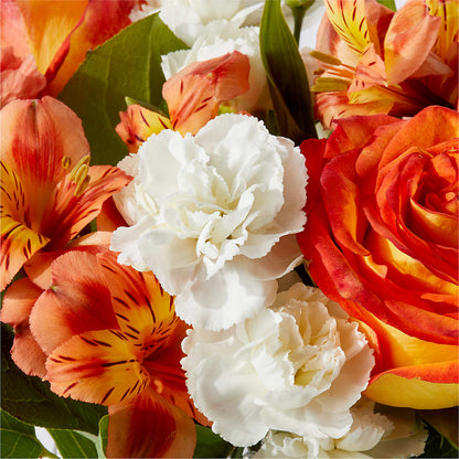 Apricot Glow Bouquet –  Day Dream Bokay Llc, Jonesborough TN