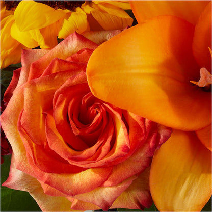 Grateful Centerpiece –  Day Dream Bokay Llc, Jonesborough TN