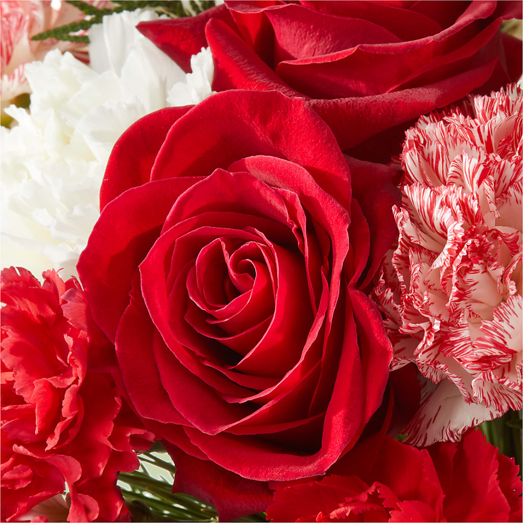 Candy Cane Lane Bouquet –  Day Dream Bokay Llc, Jonesborough TN