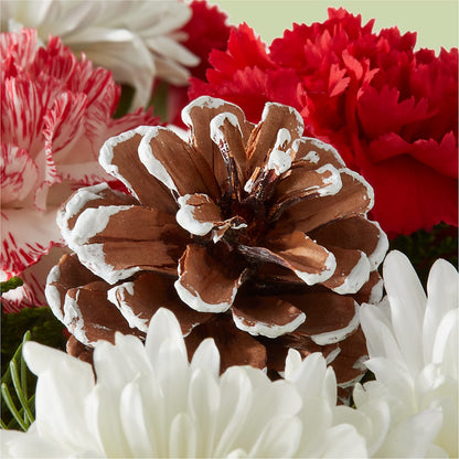 Candy Cane Lane Bouquet –  Day Dream Bokay Llc, Jonesborough TN