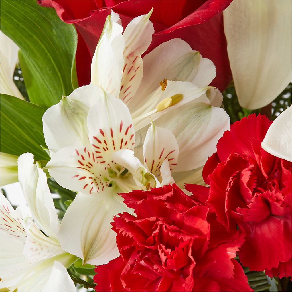 Holiday Season Bouquet –  Day Dream Bokay Llc, Jonesborough TN