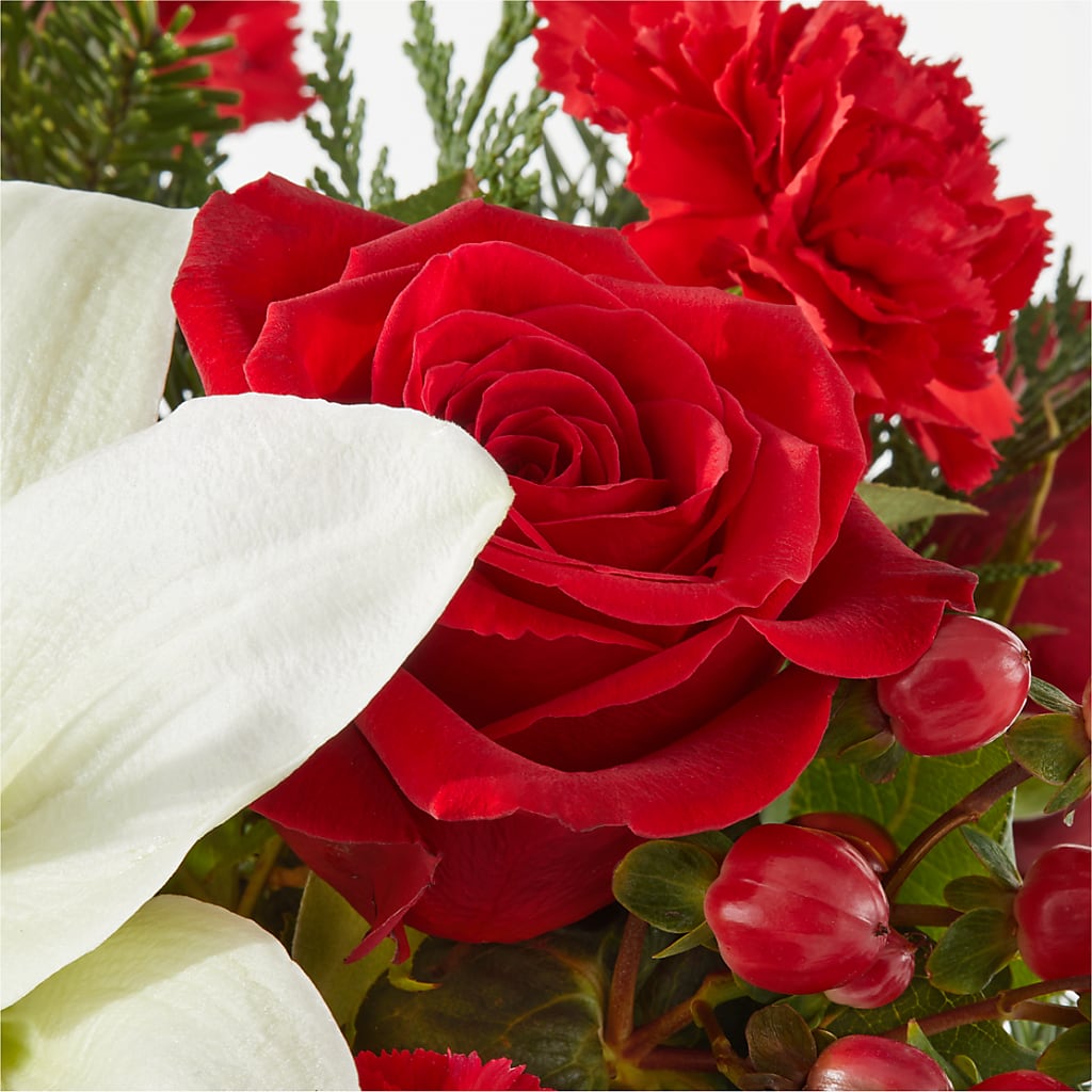 Oh So Jolly Bouquet –  Day Dream Bokay Llc, Jonesborough TN