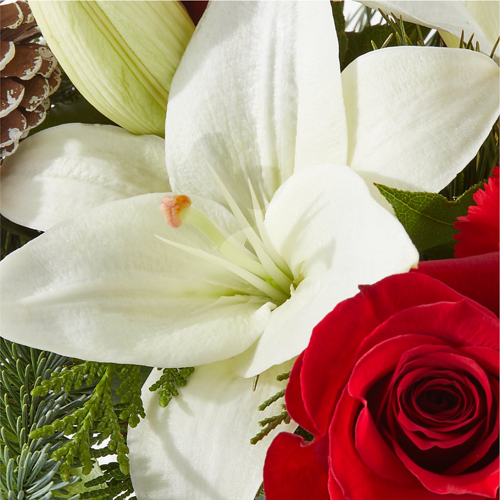 Oh So Jolly Bouquet –  Day Dream Bokay Llc, Jonesborough TN