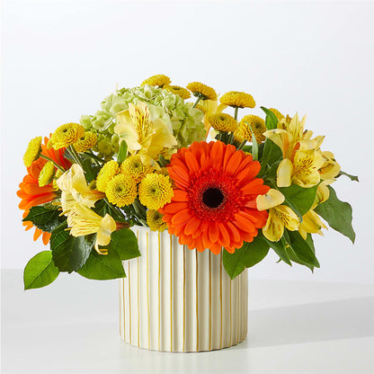 Autumn Sunshine Bouquet with Ivory Vase –  Day Dream Bokay Llc, Jonesborough TN