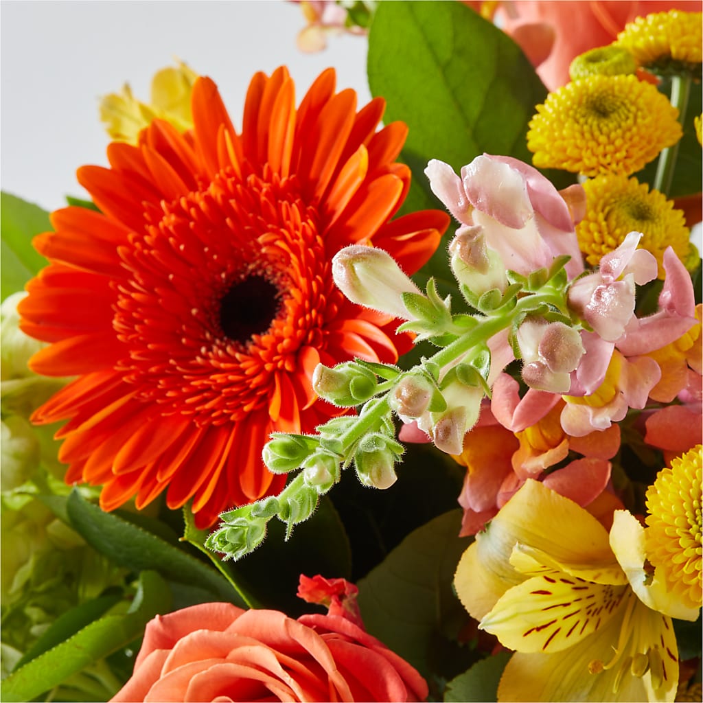 Autumn Sunshine Bouquet –  Day Dream Bokay Llc, Jonesborough TN