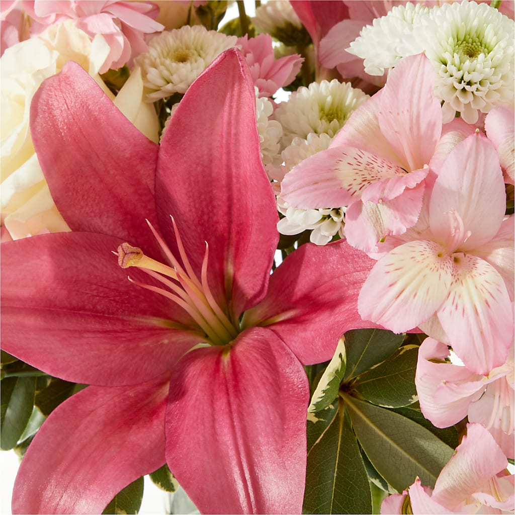 Piece of Cake Bouquet –  Day Dream Bokay Llc, Jonesborough TN