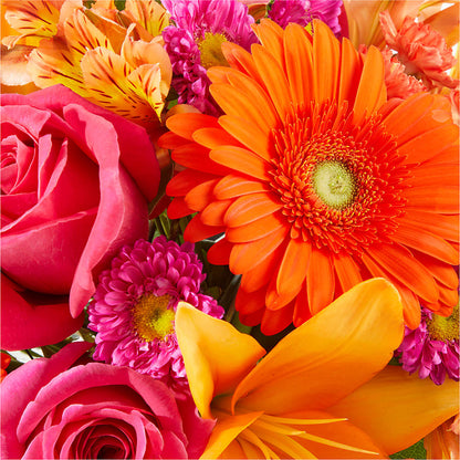 Soiree Bouquet –  Day Dream Bokay Llc, Jonesborough TN